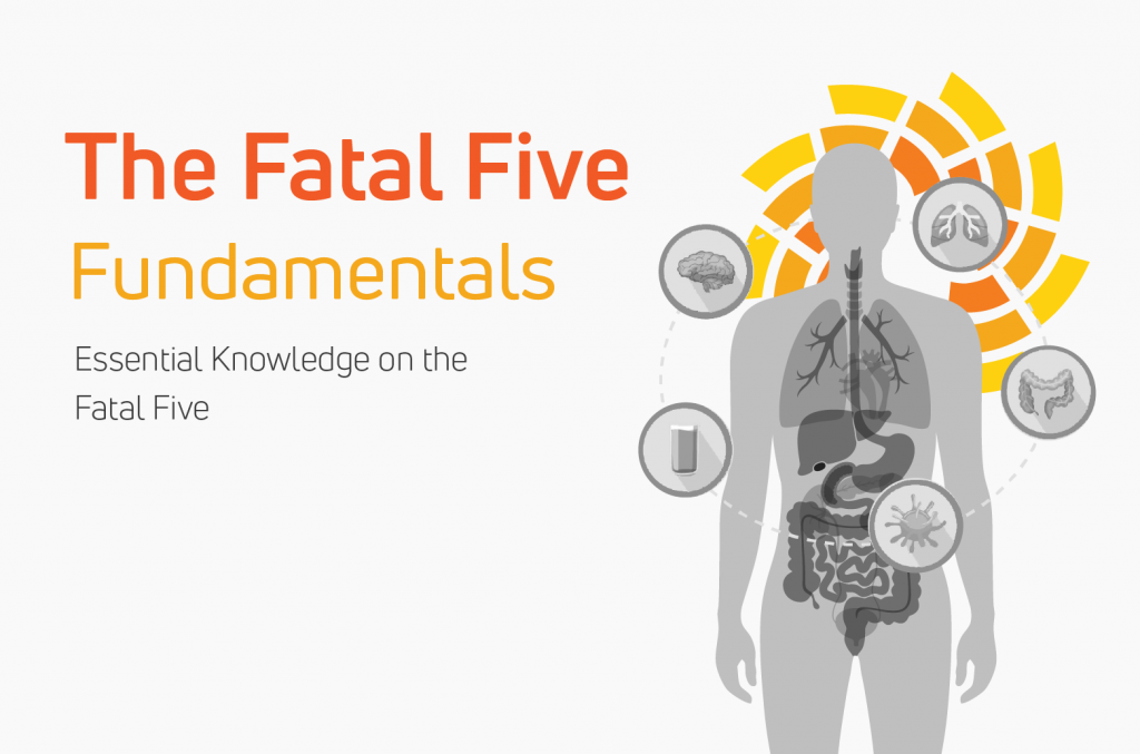 Fatal Five Fundamentals by Intellectability