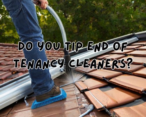 crew cleaning roof and gutter