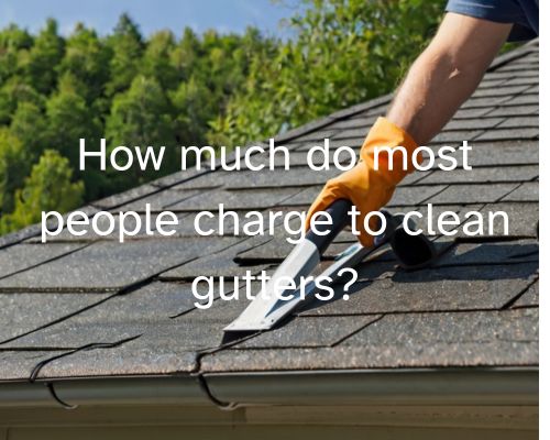 gutter cleaning activity