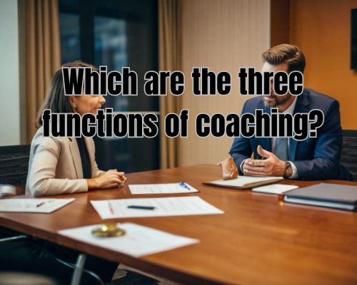 one on one coaching session of a coach and a professional