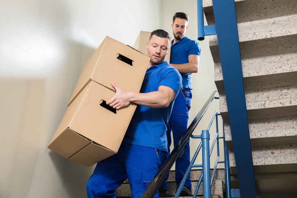 Moving Boxes in Office Space