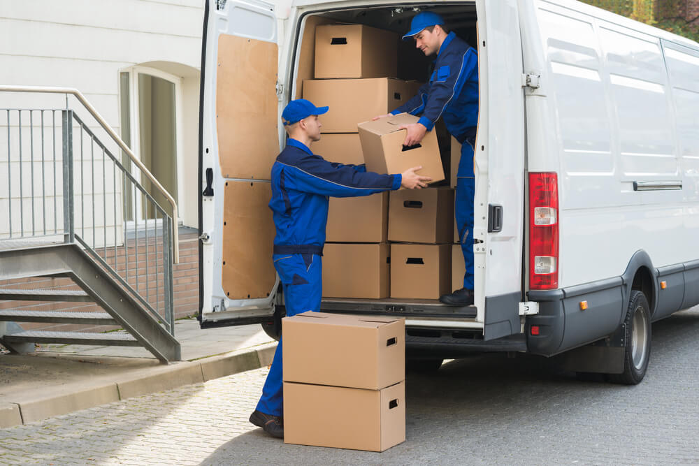 Employees Unpacking Boxes in Office